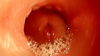 Buzz Gay Porn 2